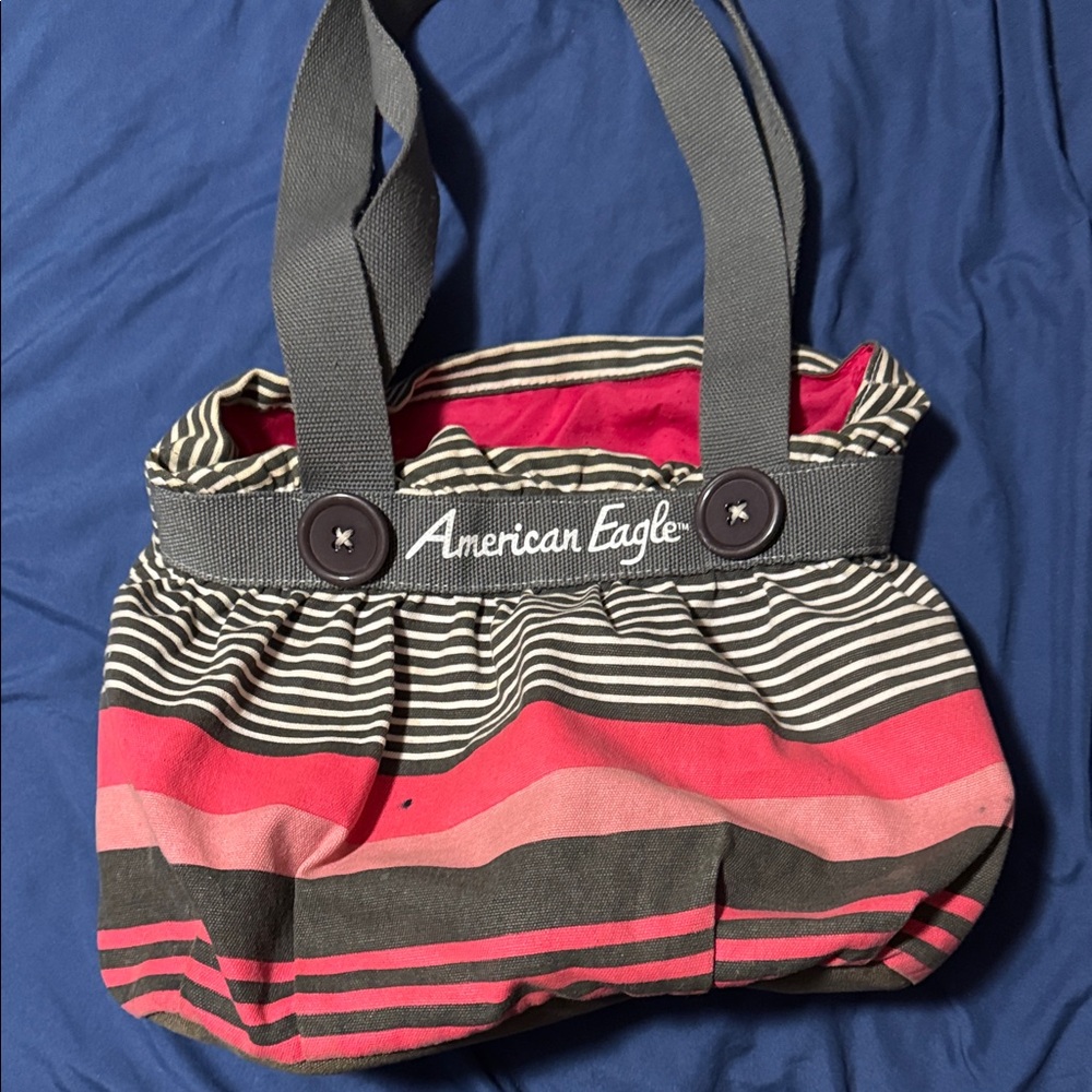 American Eagle Outfitters Pink and Black Striped Tote